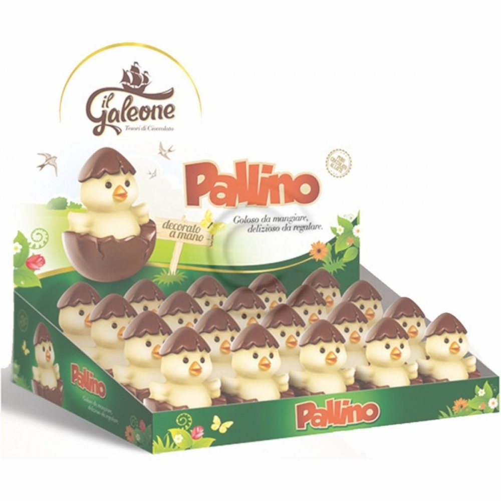 Pulcino pallino