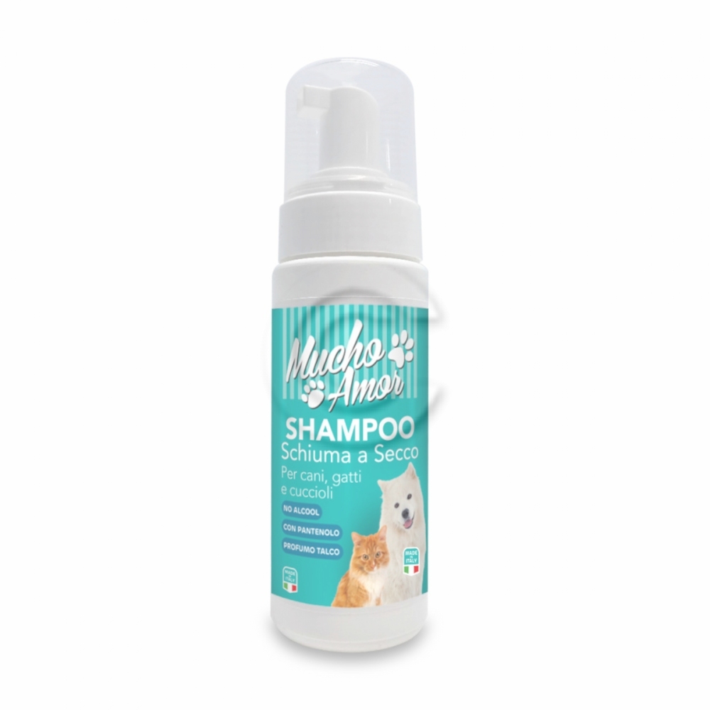 Mamor shampoo secco petca