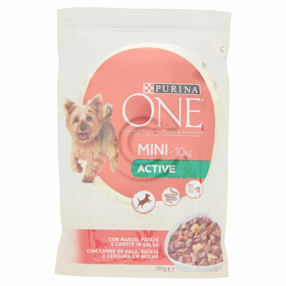 One my dog bocconi active