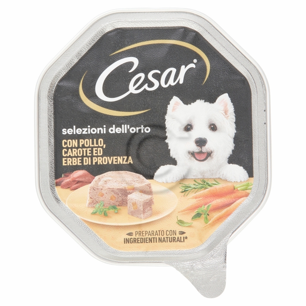 Cesar pollo+carote