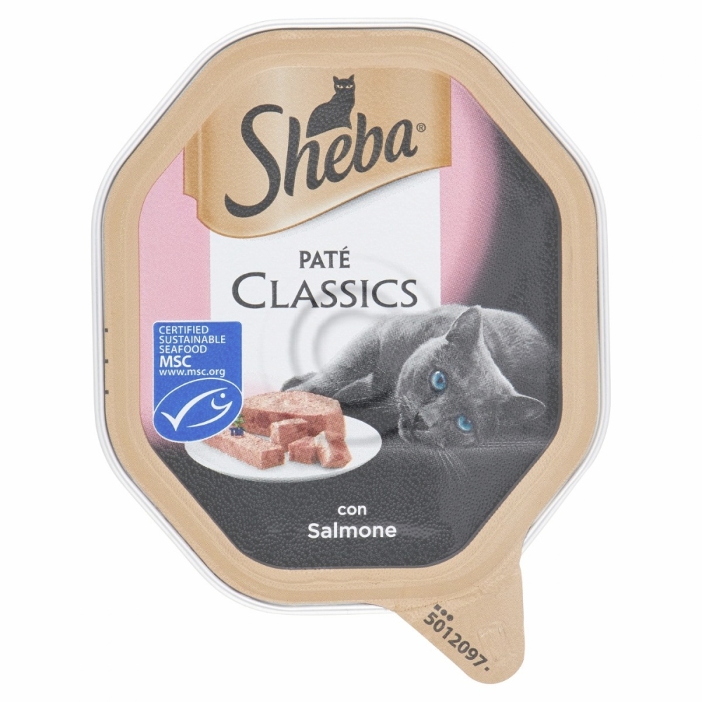 Sheba salmone