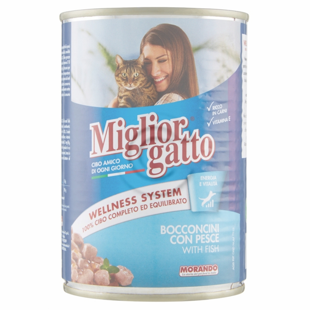 Migliorgatto pesce